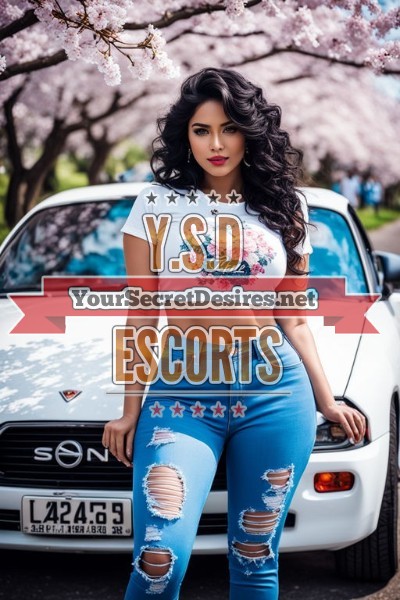 Travel Escorts Service